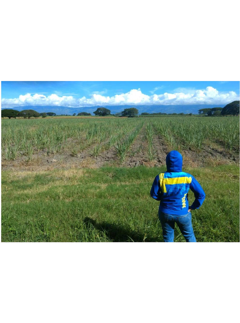 SWEDEN TEAM - UWR